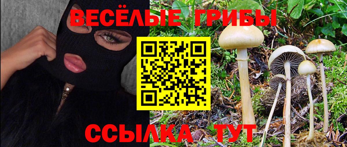 Псилоцибиновые грибы ЛСД  Вход с VPN  что такое   Сосновый Бор 